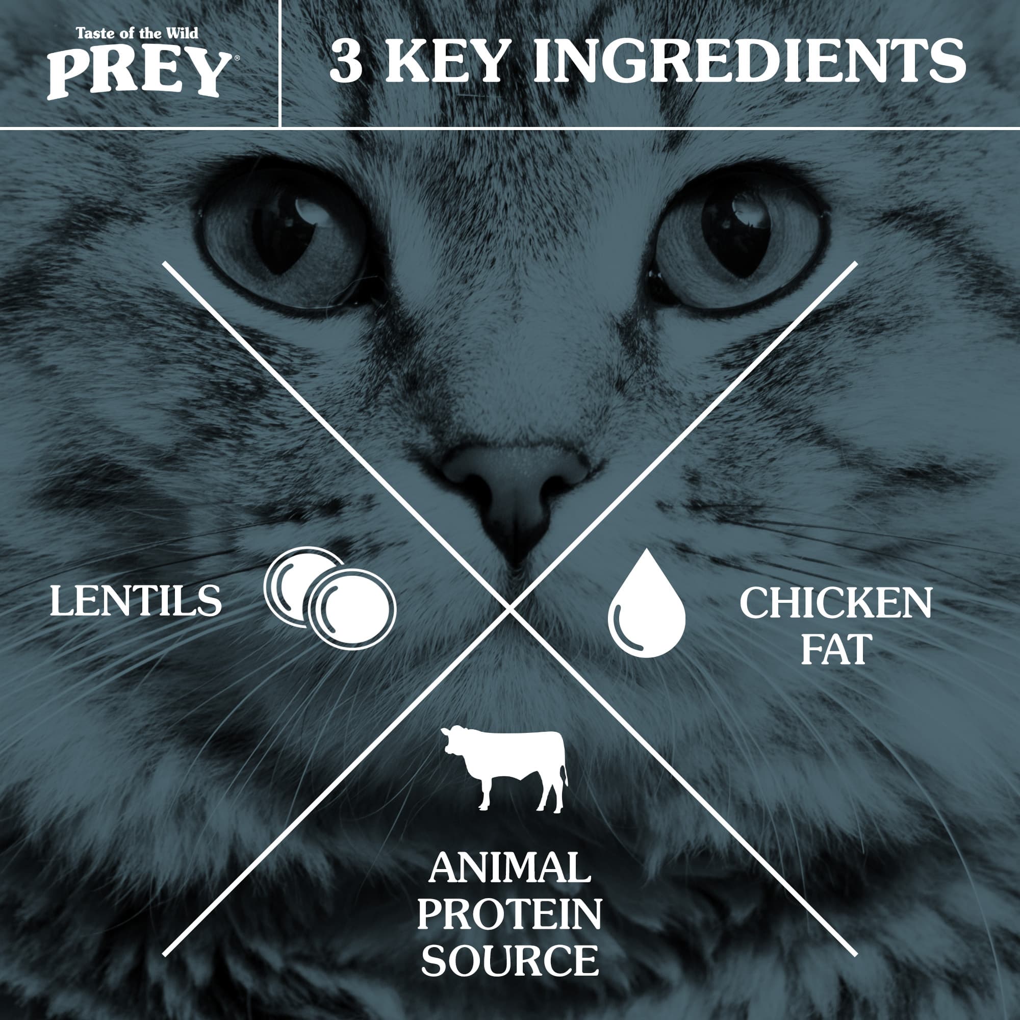 3 Key Ingredients for Cats: Animal Protein Source, Sunflower Oil and Lentils | Taste of the Wild