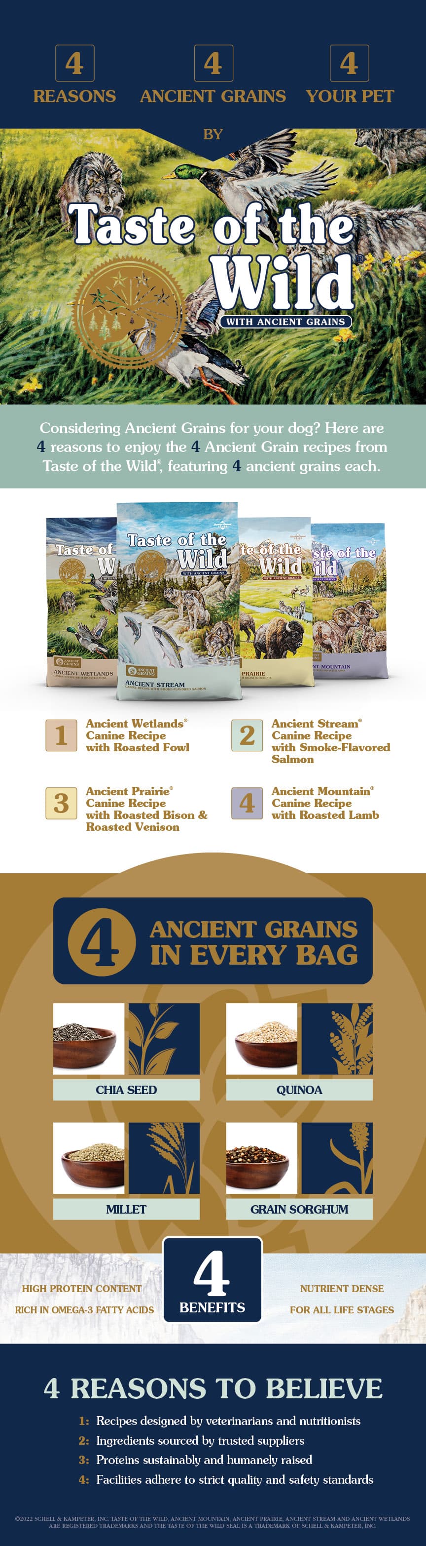 Four Reasons to Choose an Ancient Grains Dog Food Infographic | Taste of the Wild