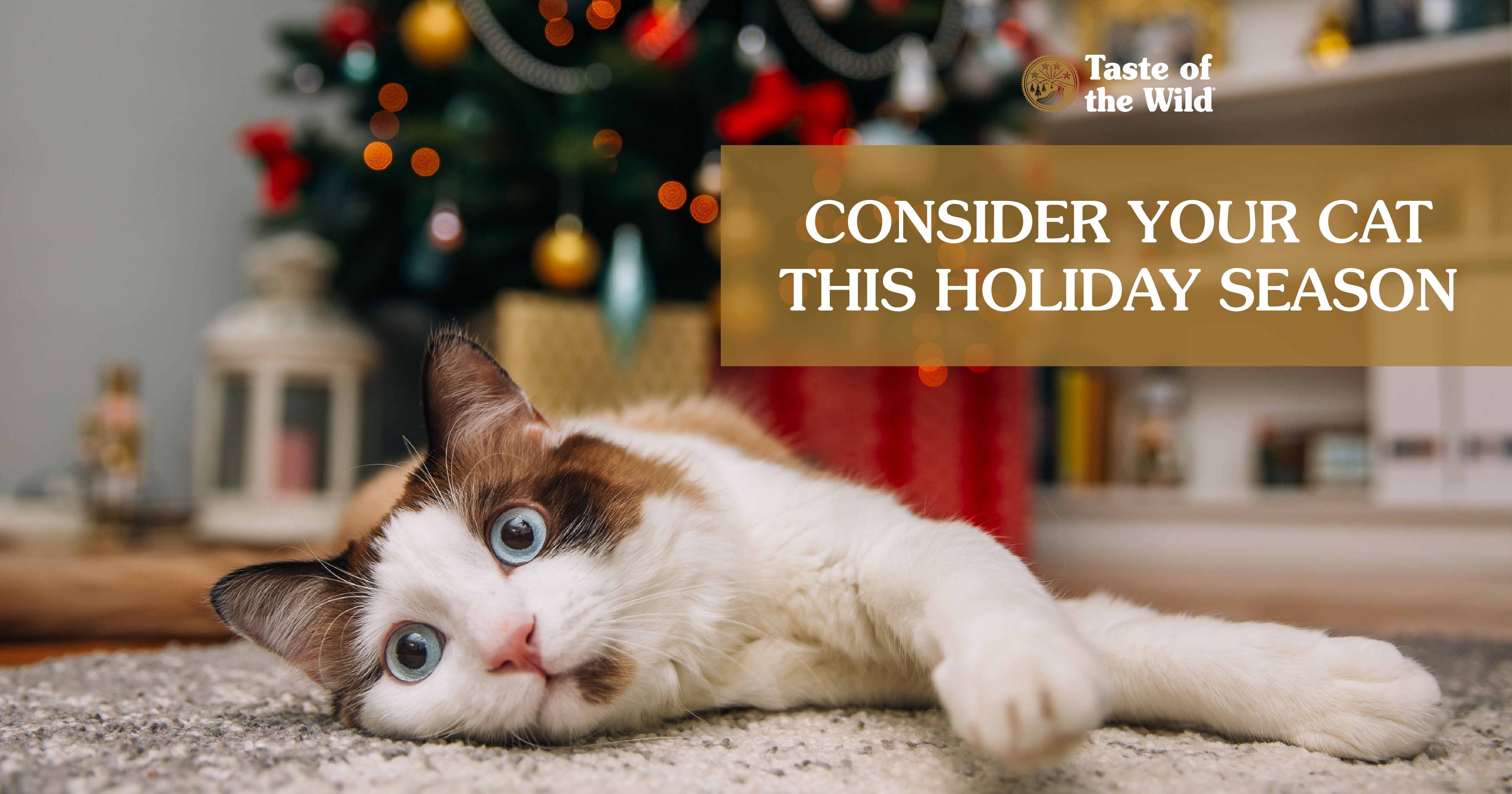 A Cat Lying in Front of a Christmas Tree | Taste of the Wild