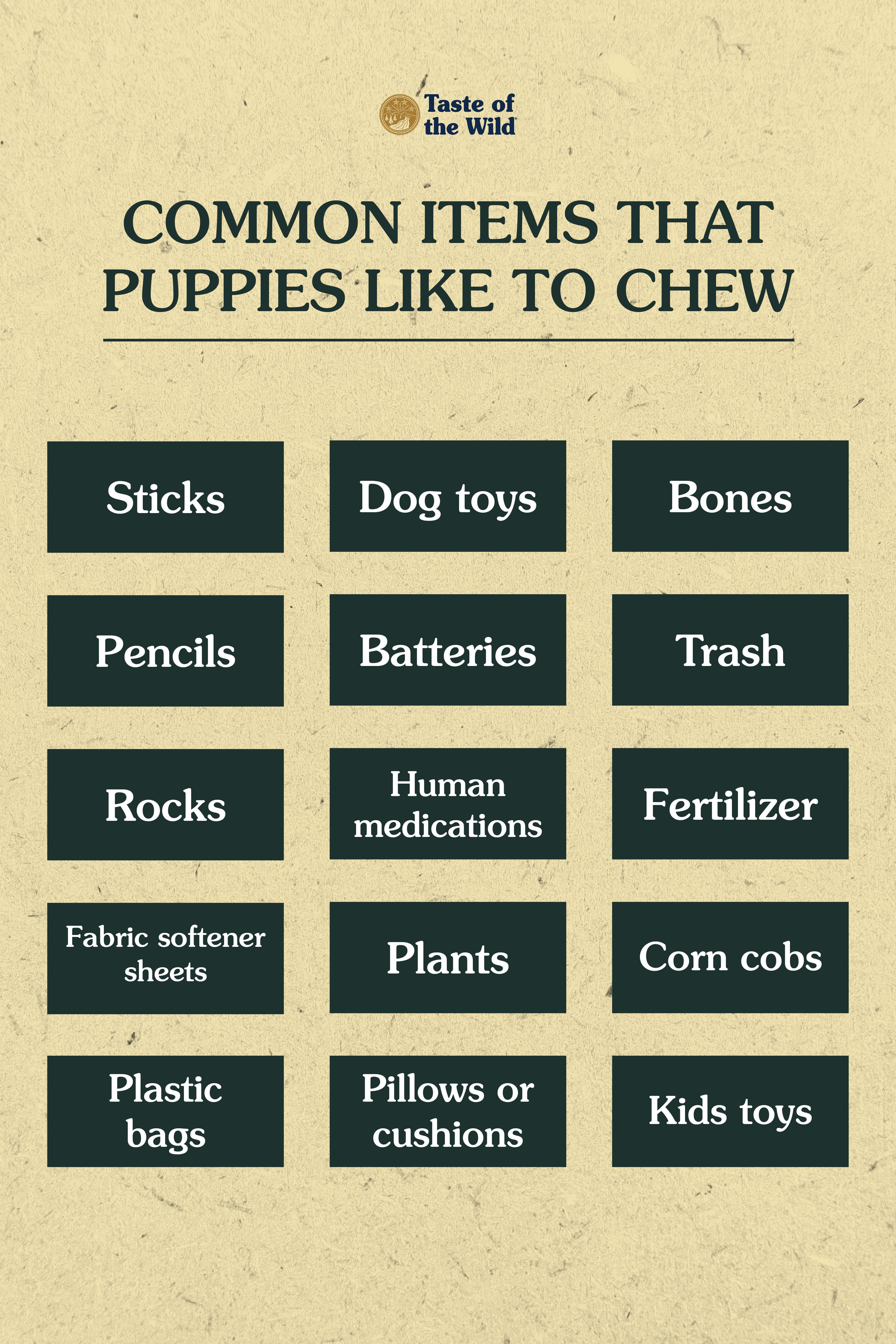 An interior graphic detailing common items that puppies like to chew.