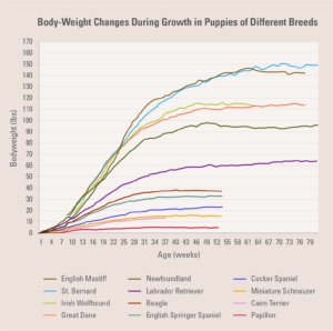 Body-weight changes during growth in puppies of different breeds.