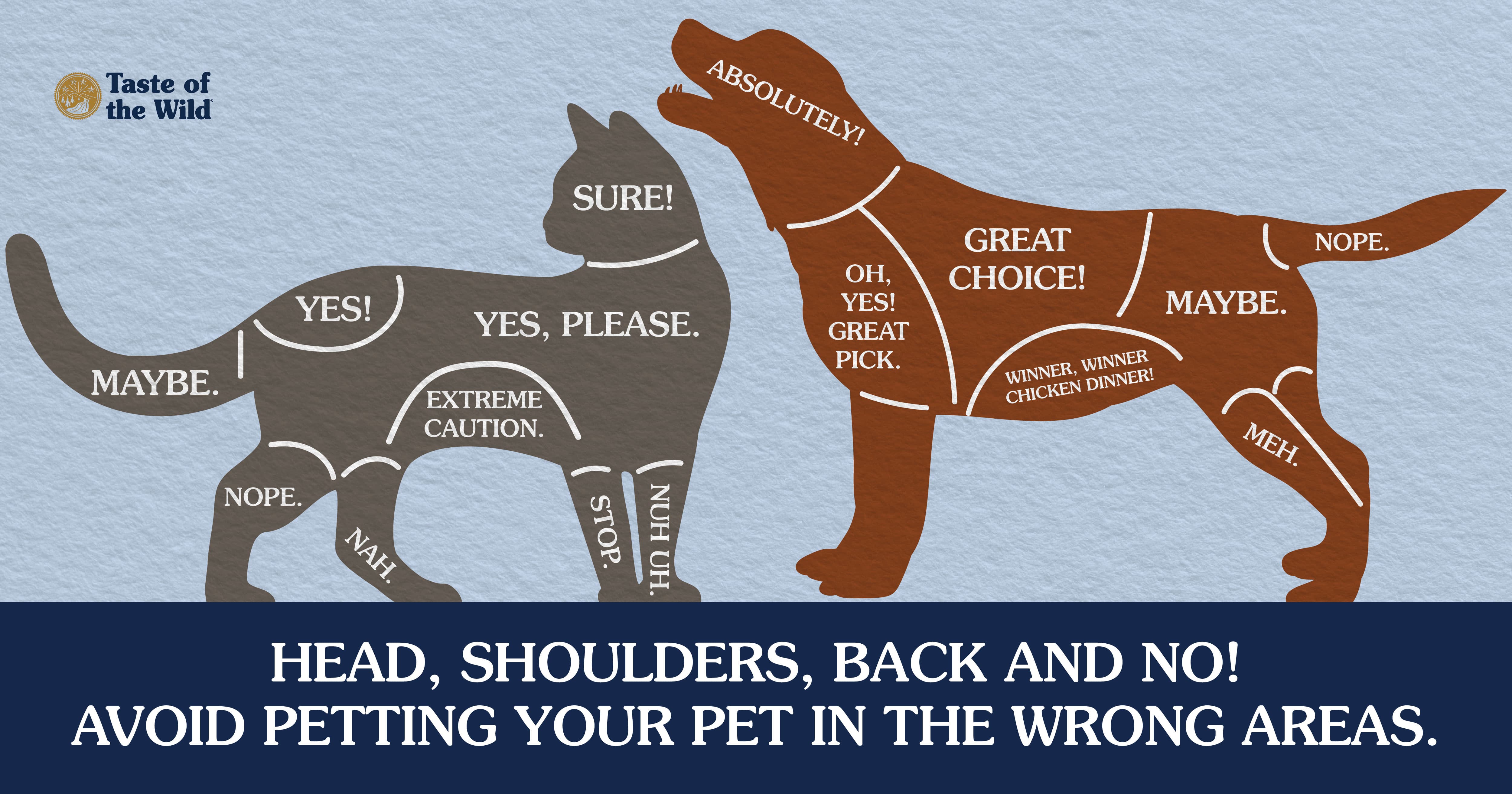 An infographic detailing which spots on a dog and cat are okay to pet and which spots are not okay.