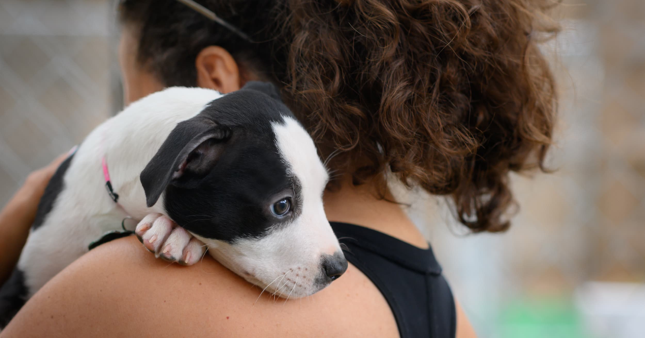 A woman holding a white and black puppy on her shoulder.