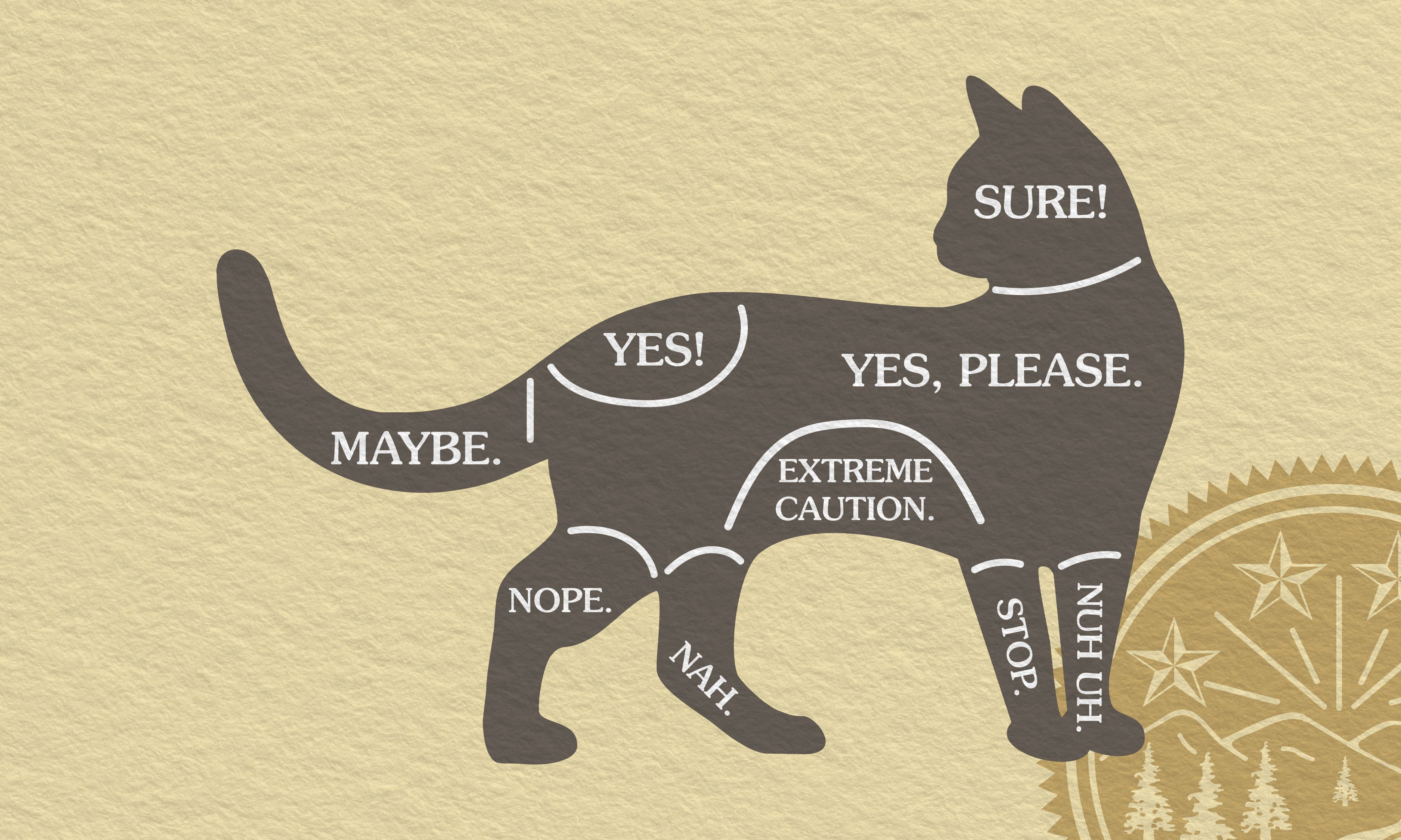 An infographic detailing which spots on a cat are okay to pet and which spots are not okay.