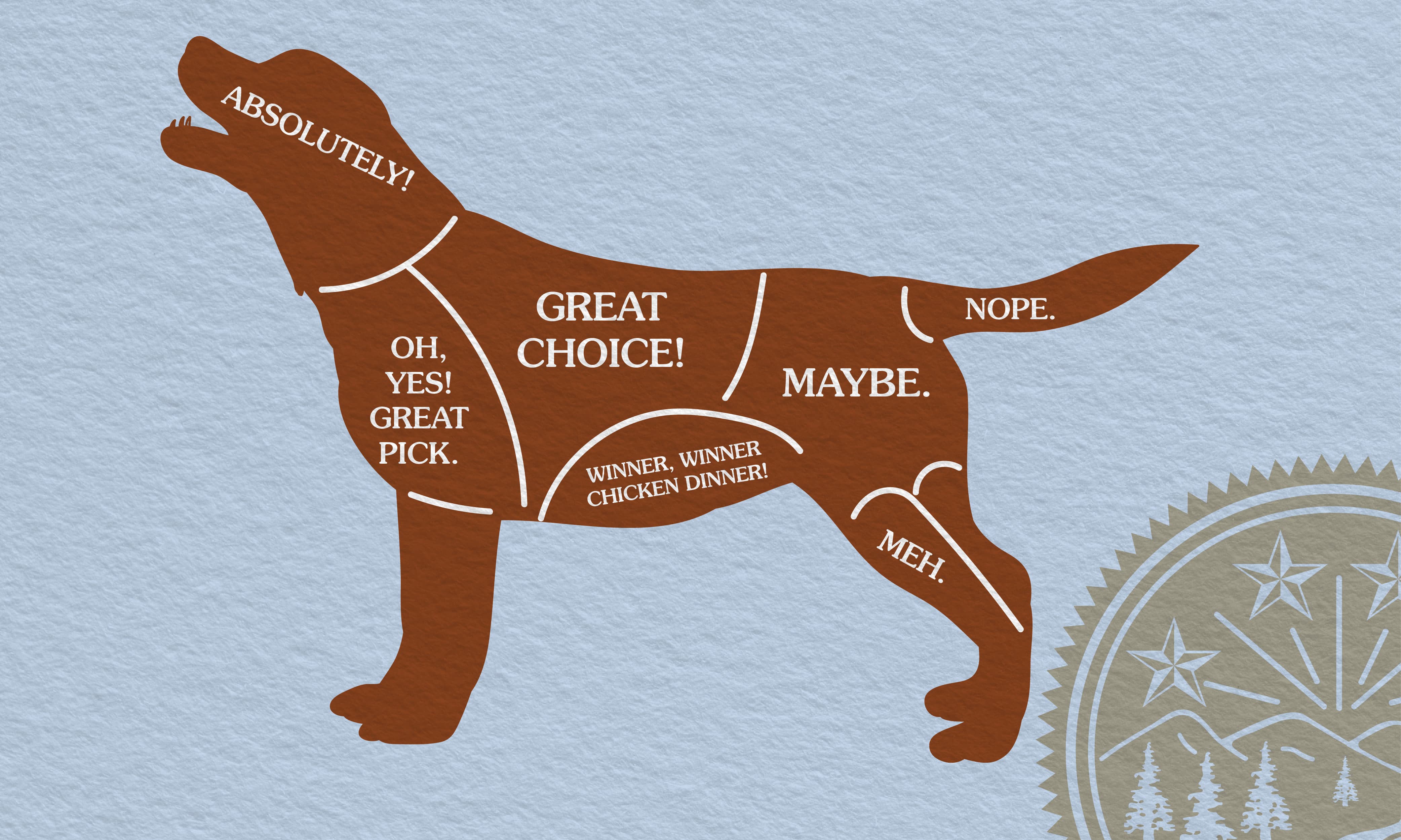 An infographic detailing which spots on a dog are okay to pet and which spots are not okay.