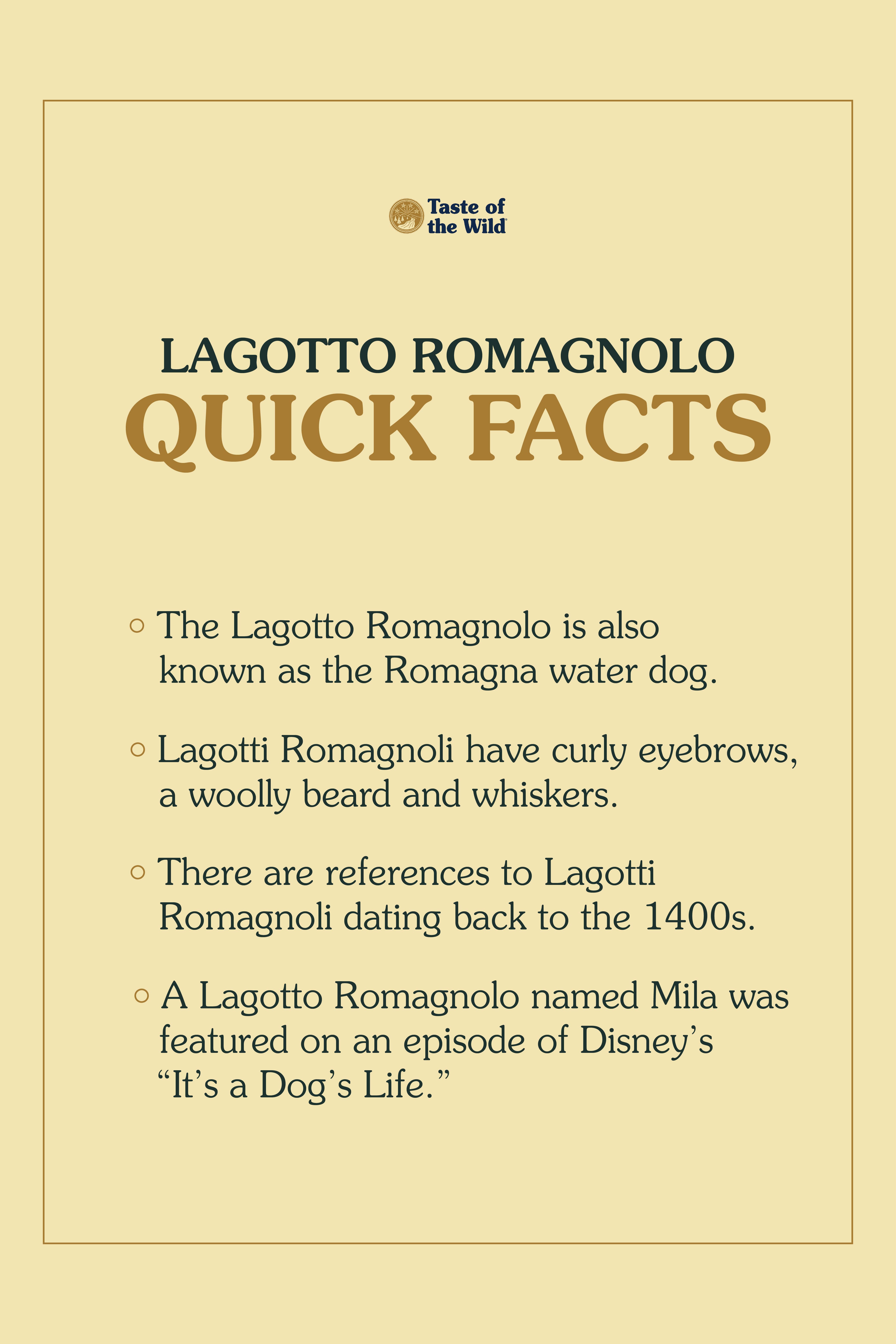 An interior graphic detailing four quick facts about the Lagotto Romagnolo breed.
