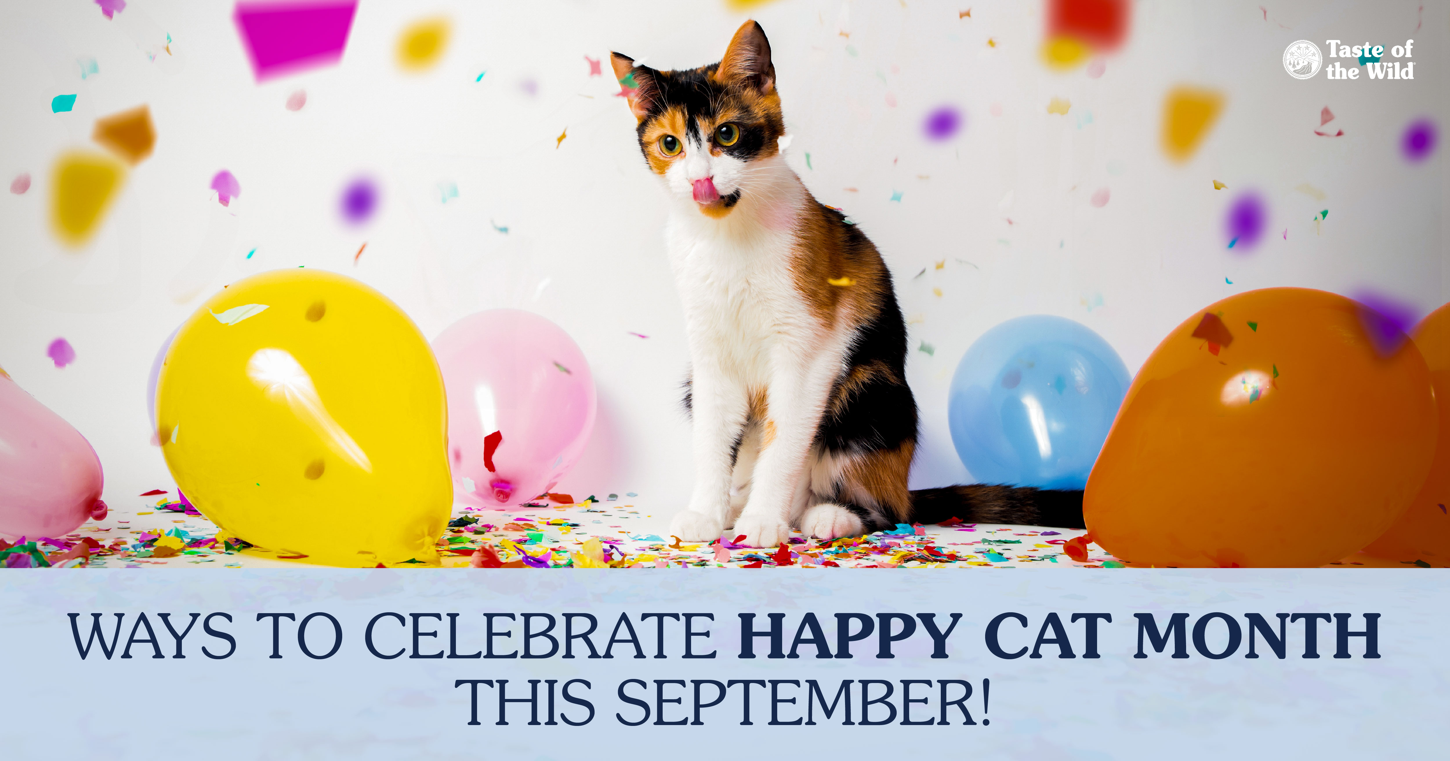A black, white and brown cat sitting in a white room surrounded by confetti and balloons.