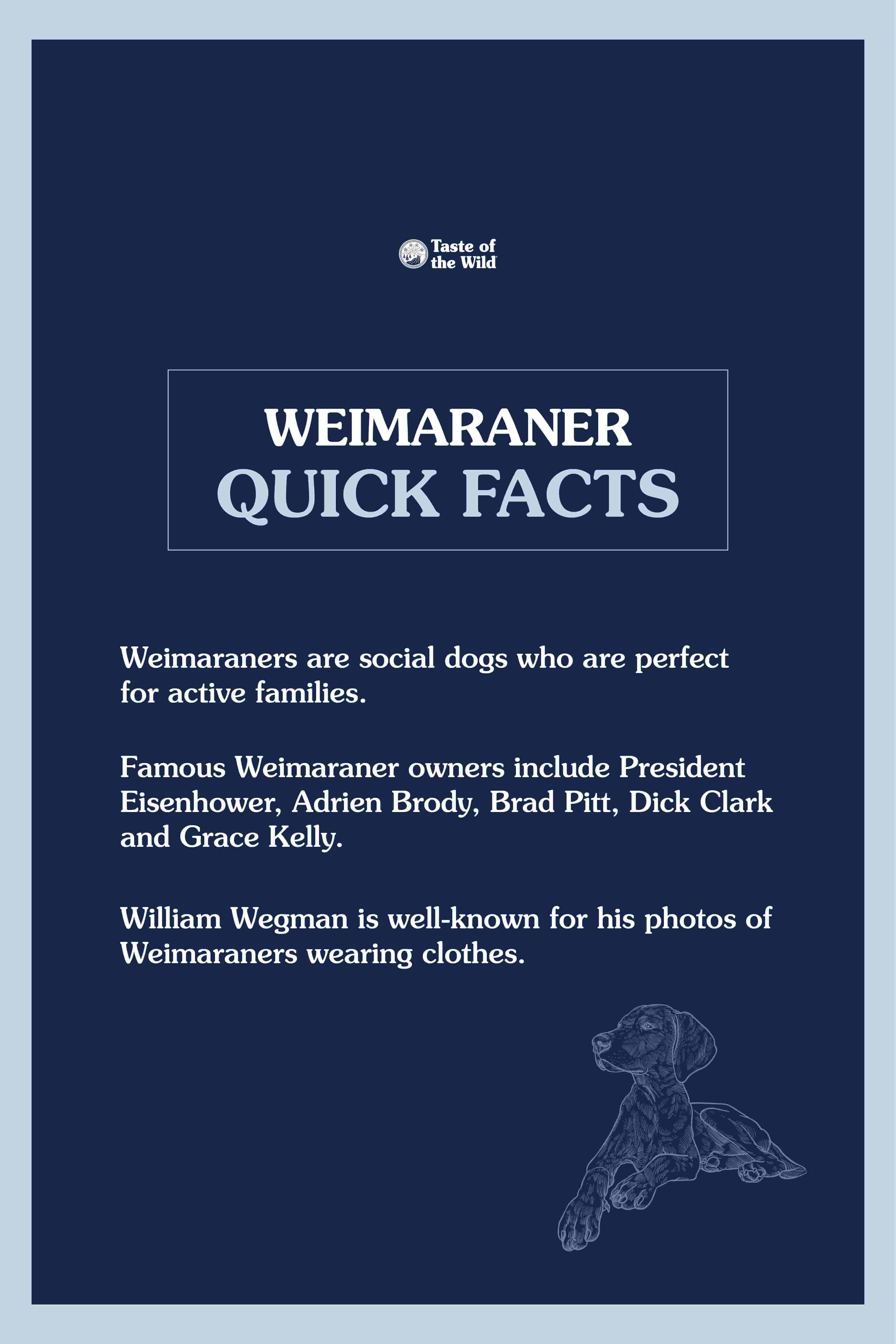 An interior graphic detailing three quick facts about Weimaraners.