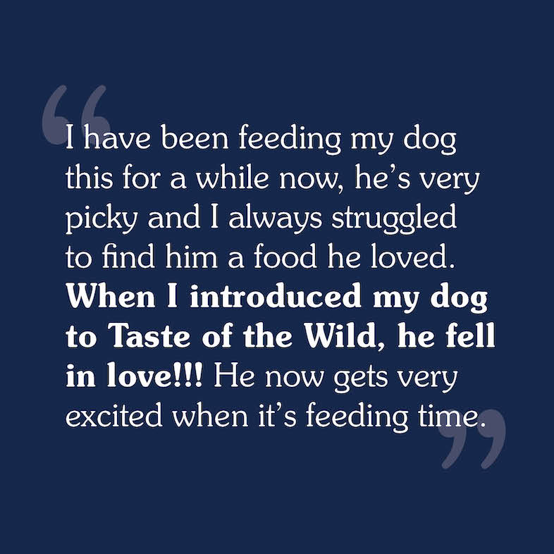 A consumer review that reads, 'I have been feeding my dog this for a while now, he's very picky and I always struggled to find him a food he loved. When I introduced my dog to Taste of the Wild, he fell in love!!! He now gets very excited when it's feeding time.'