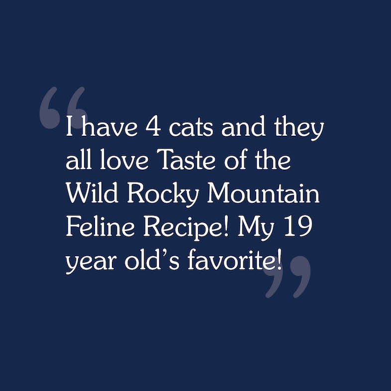 Text review image for Rocky Mountain for Cats.