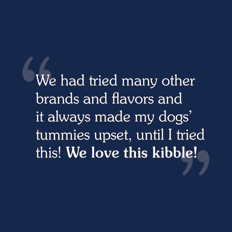 A consumer review that reads, 'We had tried many other brands and flavors and it always made my dogs' tummies upset, until I tried this! We love this kibble'.