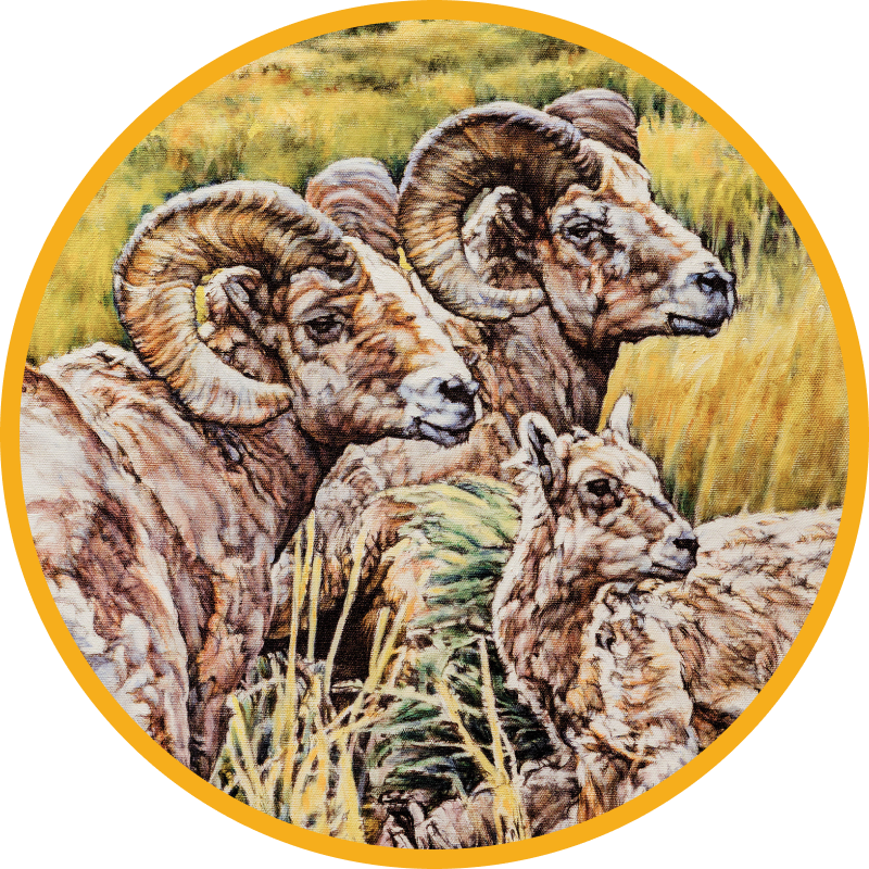 Painting of Lambs