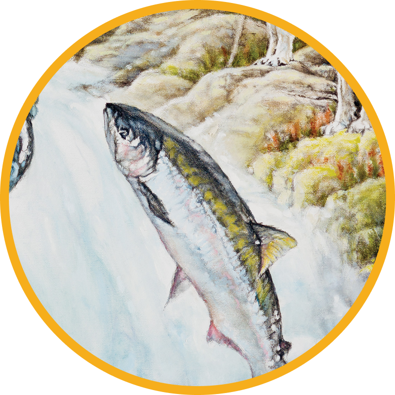 Painting of Salmon