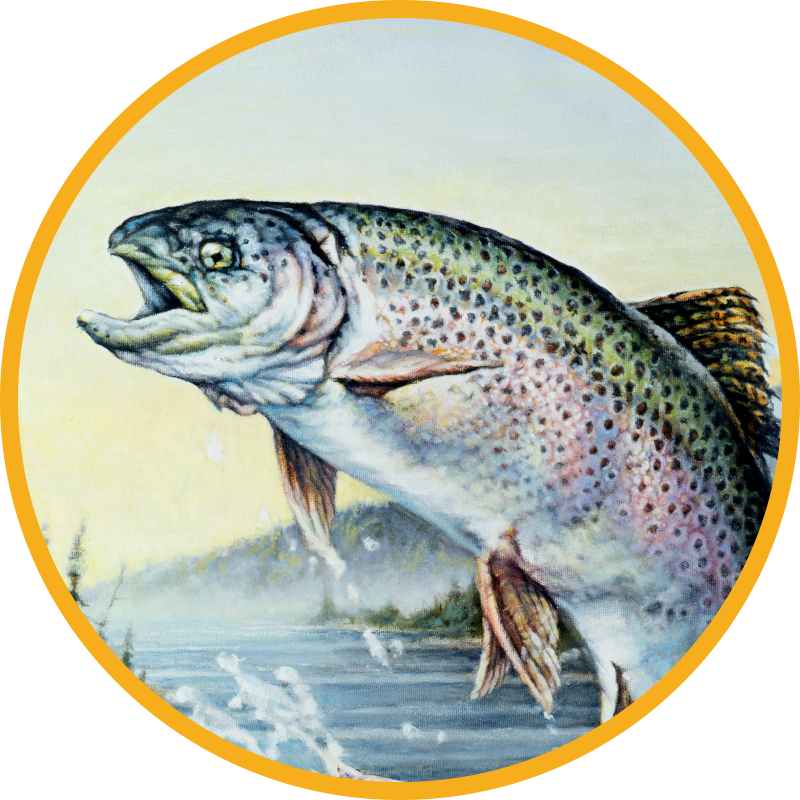 Painting of Trout