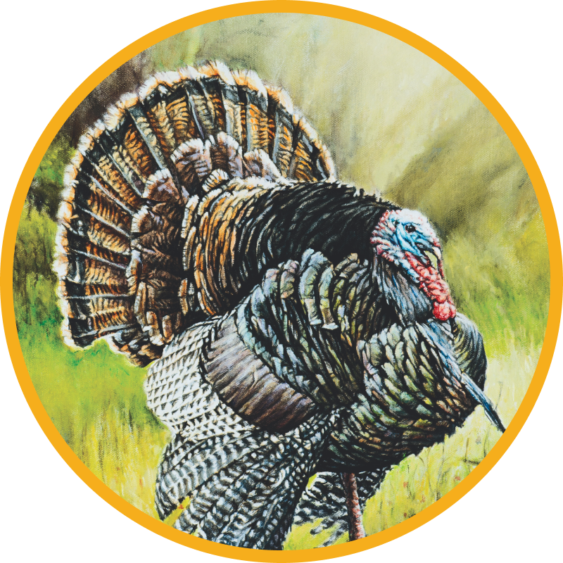 Painting of Turkey