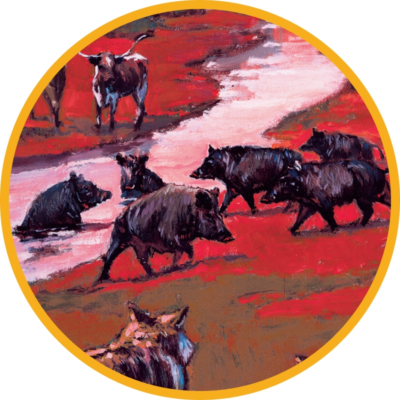 Painting of Wild Boar