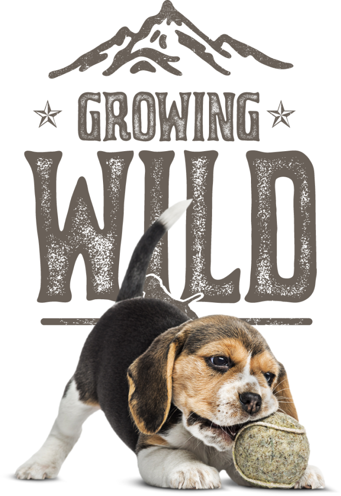 A colored Growing Wild logo with a puppy chewing on a tennis ball.