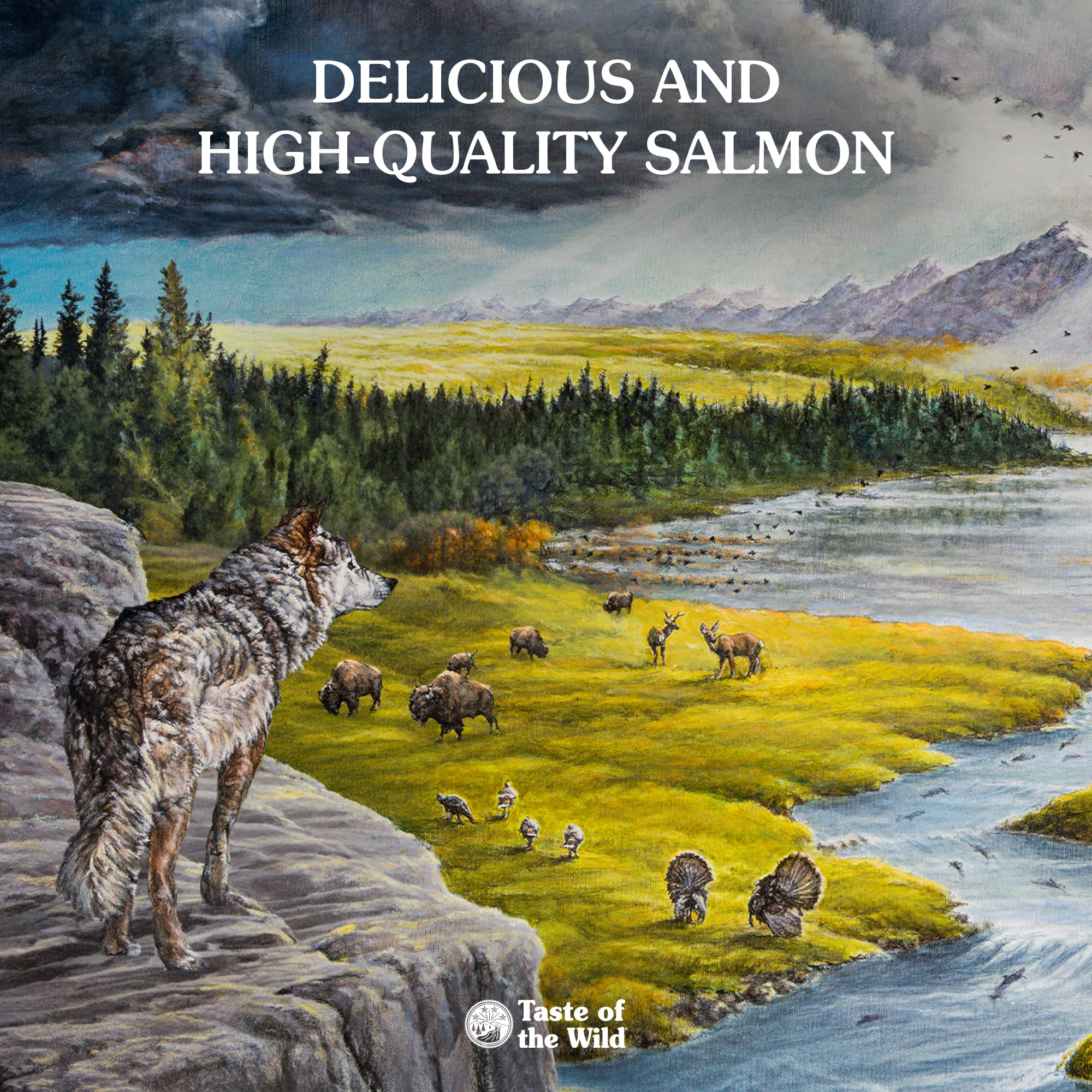 ドッグフード TDF Ancient Stream Canine Recipe with Smoke-Flavored Salmon