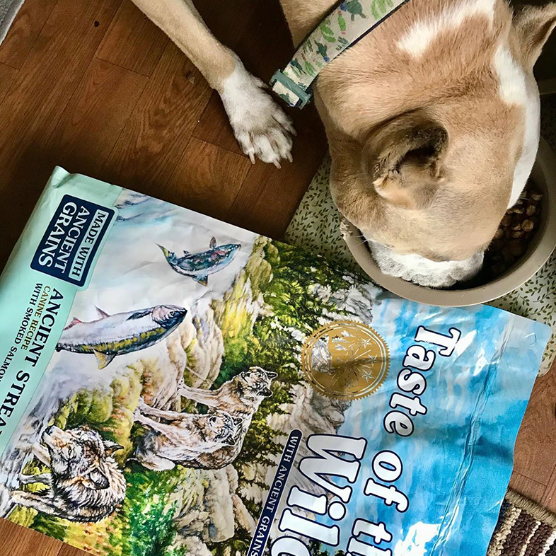 Staffordshire Bull Terrier with Bag of Dog Food | Taste of the Wild