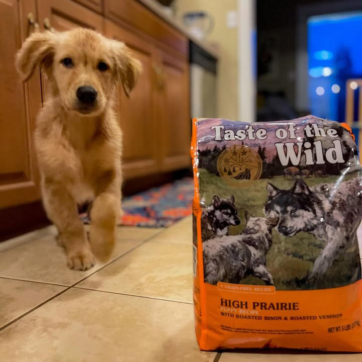 Taste of the Wild High Prairie Puppy Recipe Taste of the Wild High Prairie Puppy Recipe