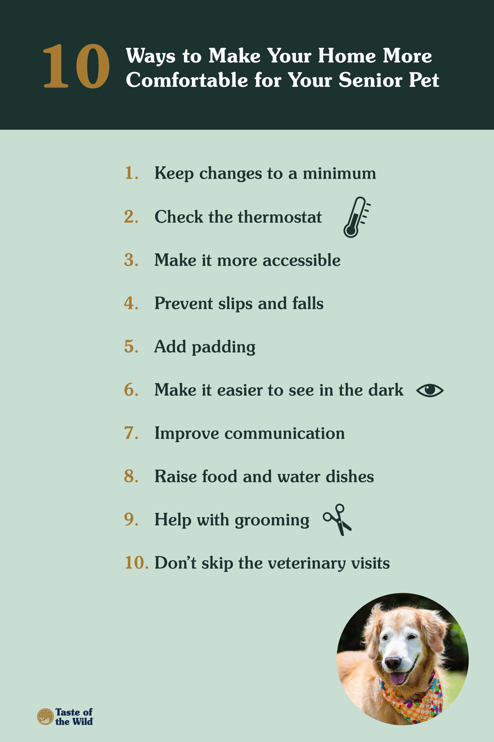 An interior graphic detailing 10 different ways to make your home more comfortable for your senior pet.