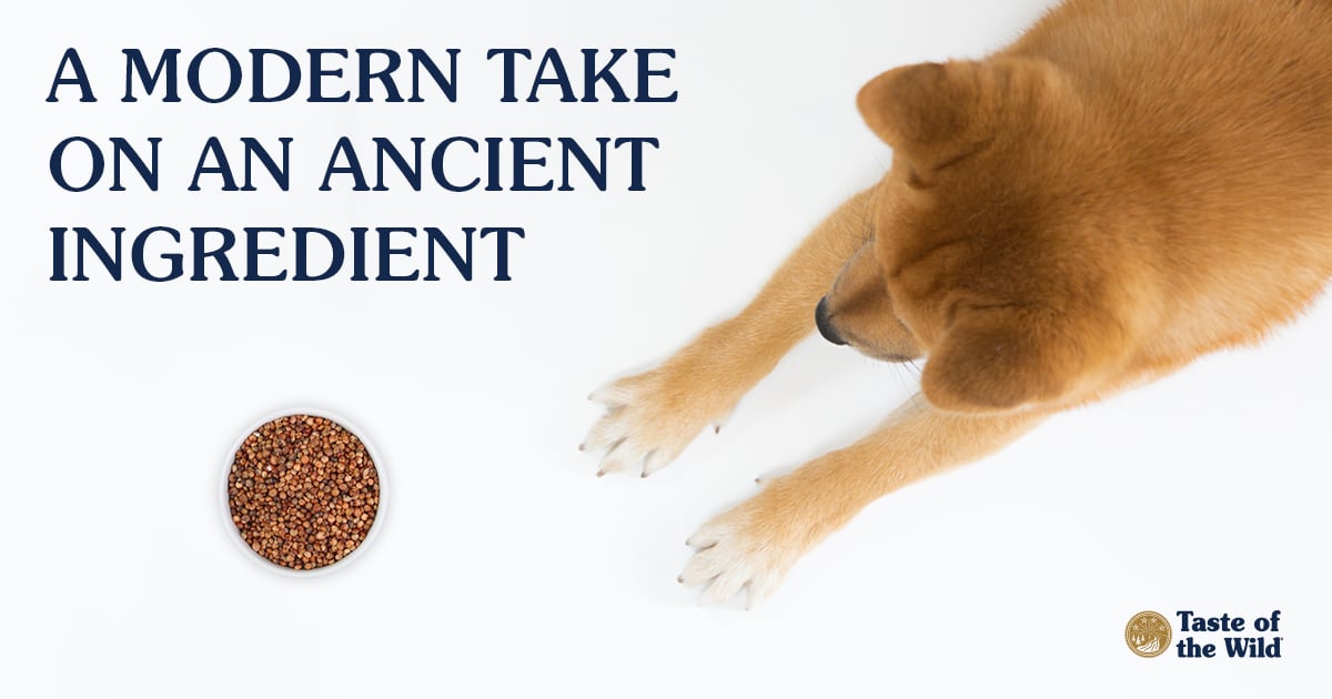 Taste of the Wild Pet Food