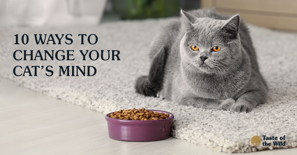 Taste of the Wild Pet Food