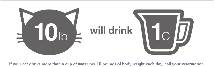 An interior graphic explaining that if your cat drinks more than a cup of water per 10 pounds of body weight, you should call your veterinarian.