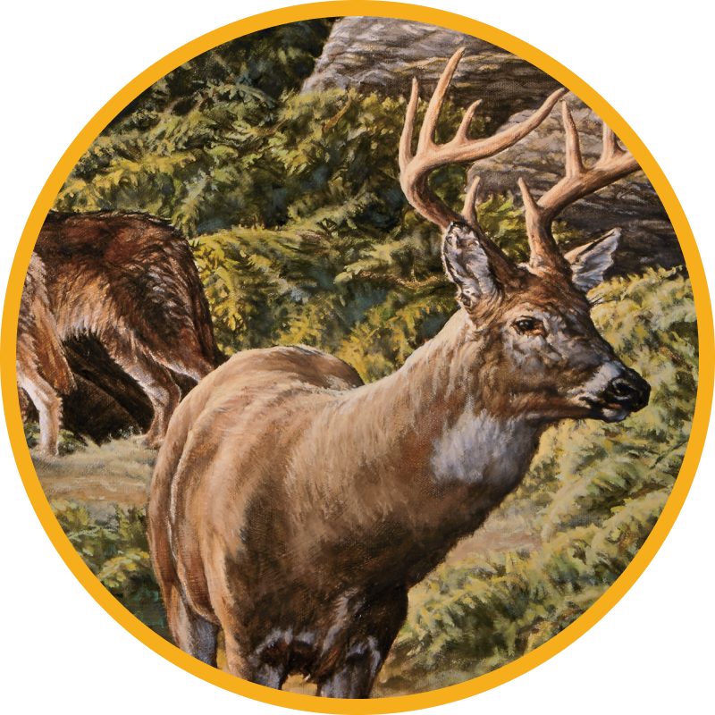 Painting of Deer