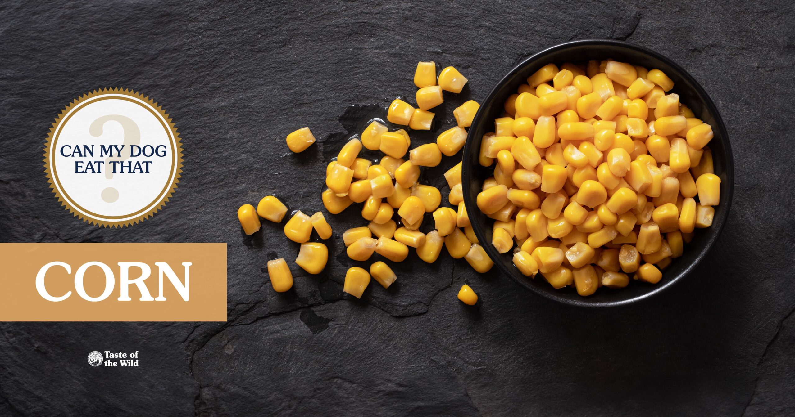 An interior graphic with text that reads ‘Can my dog eat corn? Yes (if it’s off the cob)’.