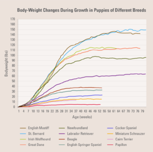 Body-weight changes during growth in puppies of different breeds.