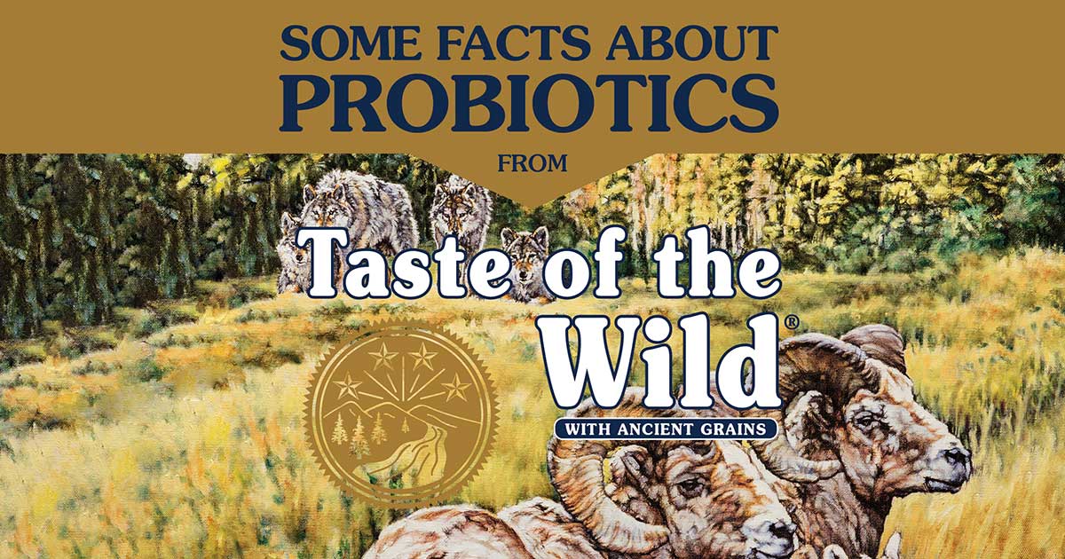 Probiotics Infographic