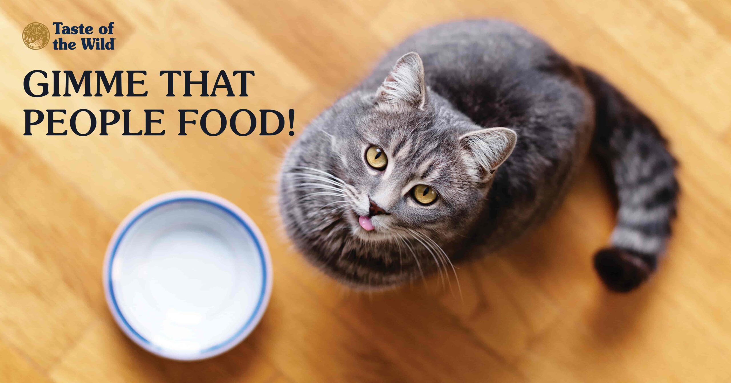 A cat sitting on the floor next to an empty food bowl looking up.