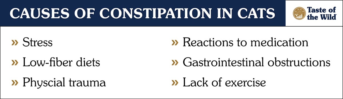 An interior graphic detailing six different causes of constipation in cats.