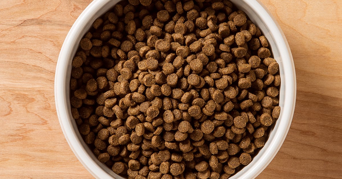An overhead view of a white ceramic bowl filled with dog kibble.