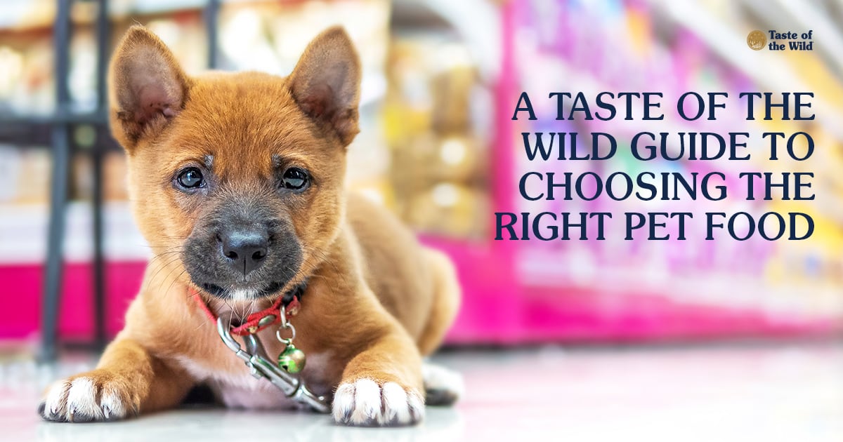Taste of the Wild