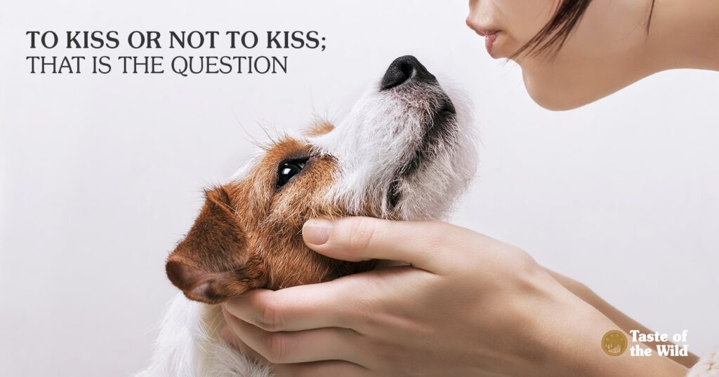 pet kisses