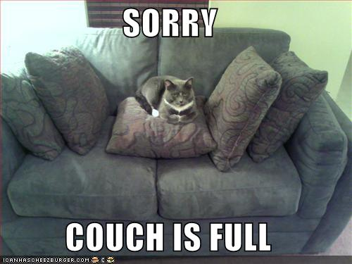 A cat lying on a couch by itself next to text that reads, 'Sorry, couch is full'.