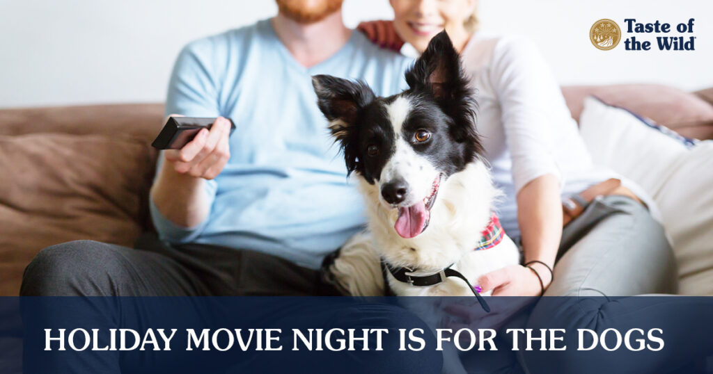 A couple sitting on the couch holding a television remote with a dog sitting between them.