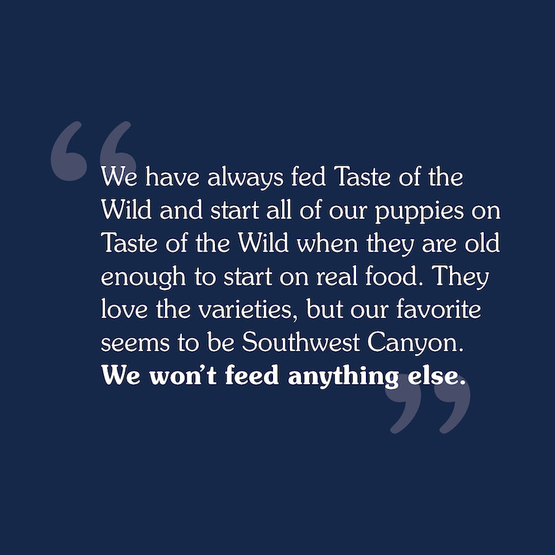 A customer review that reads, 'We have always fed Taste of the Wild and start all of our puppies on Taste of the Wild when they are old enough to start on real food. They love the varieties, but our favorite seems to be Southwest canyon. We won't feed anything else'.