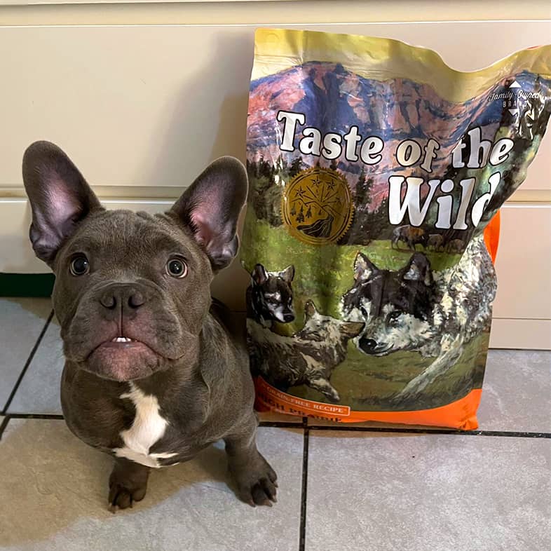 Dark gray French bulldog sitting next to Taste of the Wild bag.