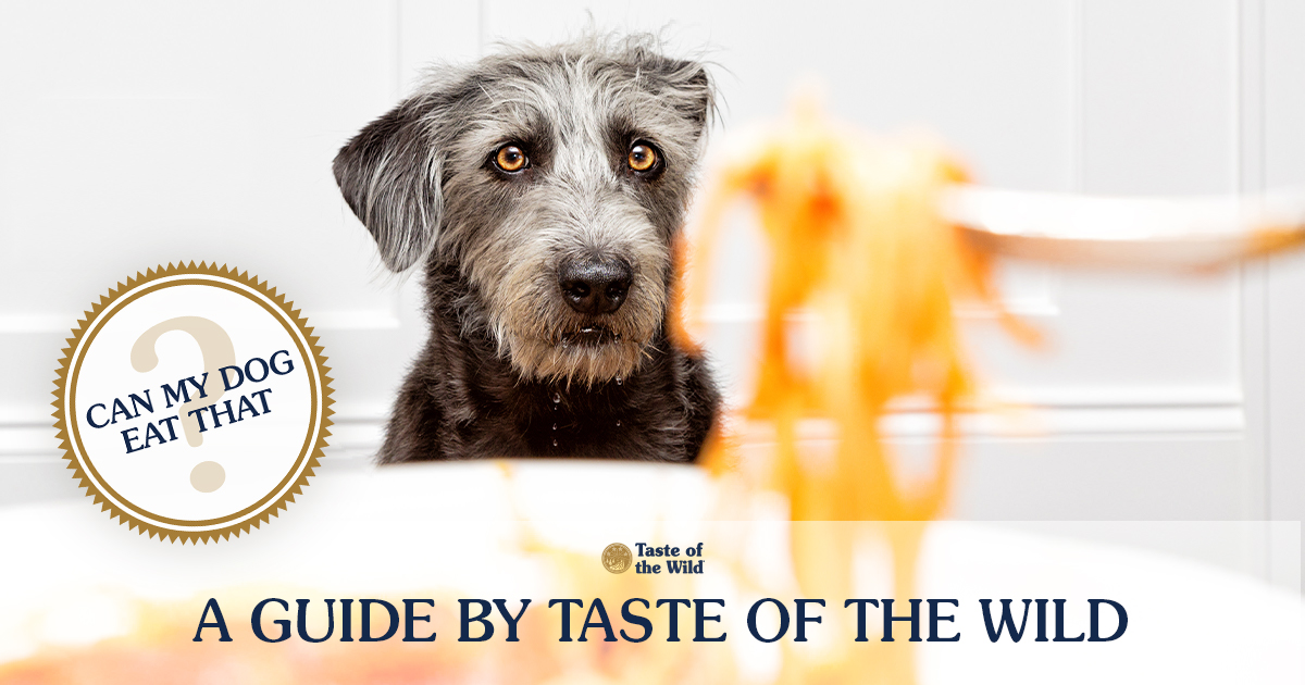 Taste of the Wild