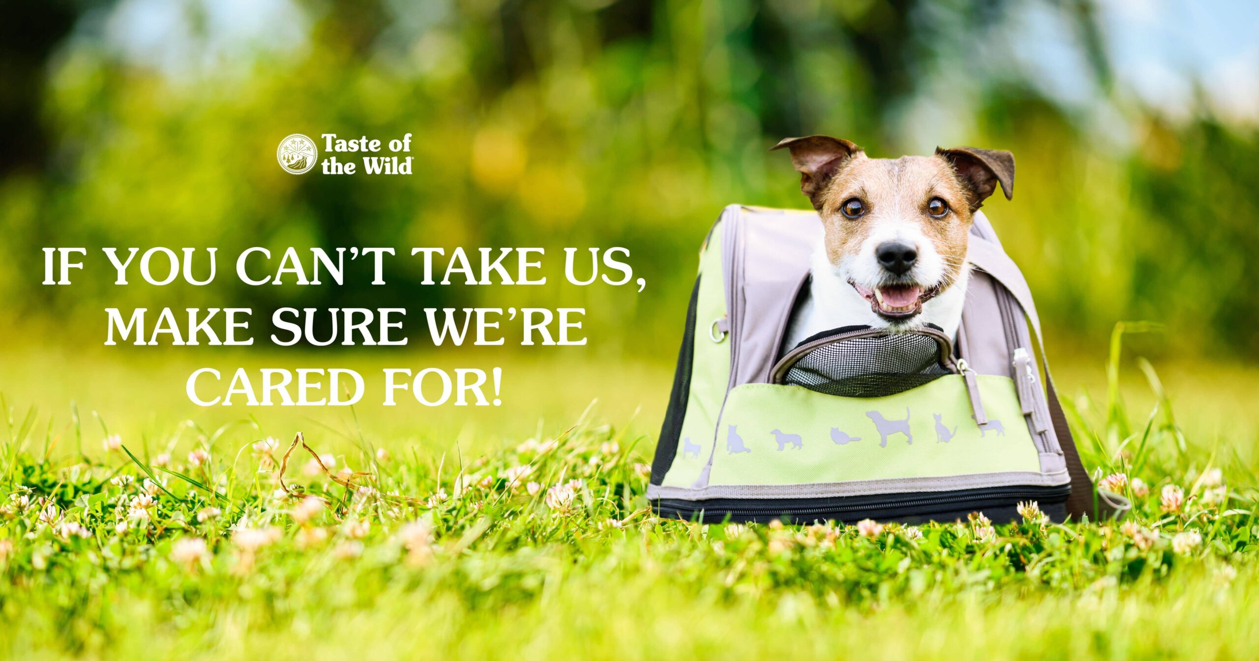 Checklist of Items to Ask Pet Boarder Infographic