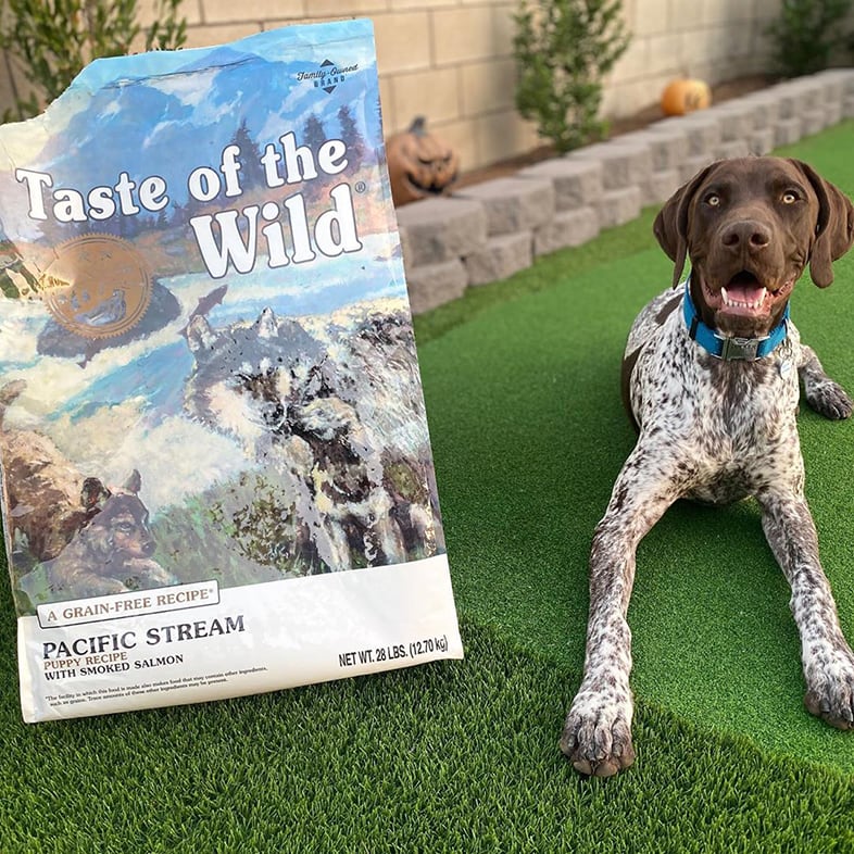 Dog Posing With Taste Of The Wild Dog Food Bag | Taste of the Wild