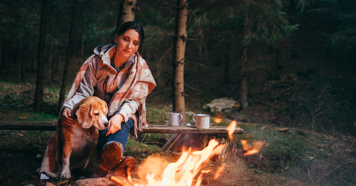 A dog sitting with its owner next to a campfire.