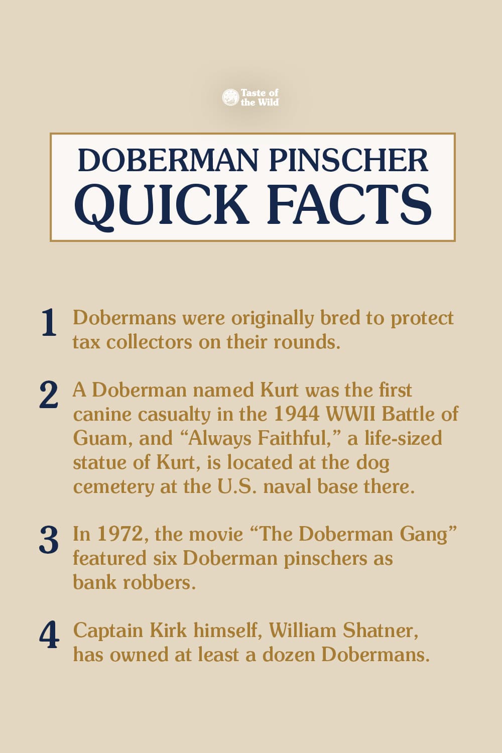 An interior graphic detailing four quick facts about Doberman pinschers.