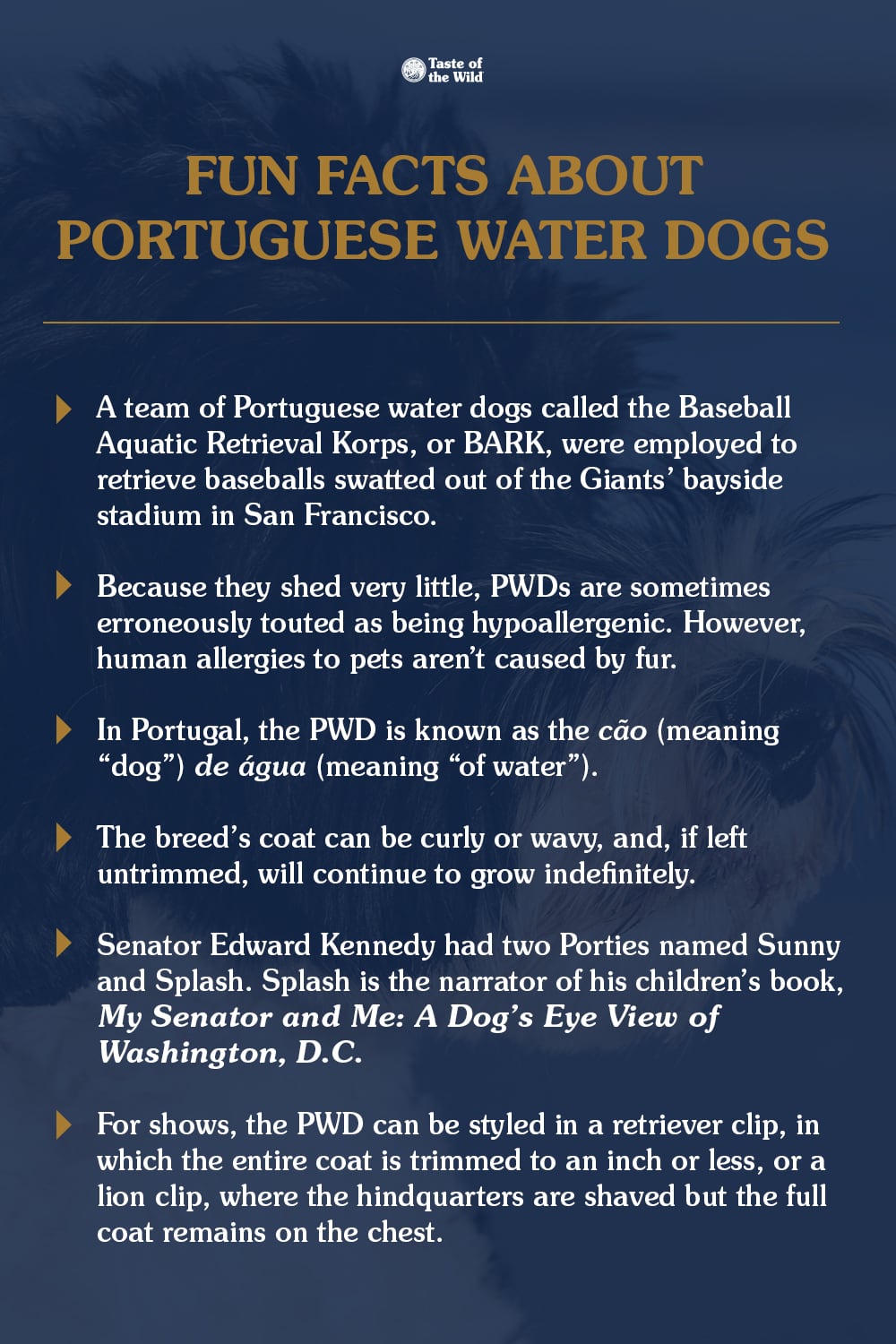 An interior graphic detailing six fun facts about Portuguese water dogs.