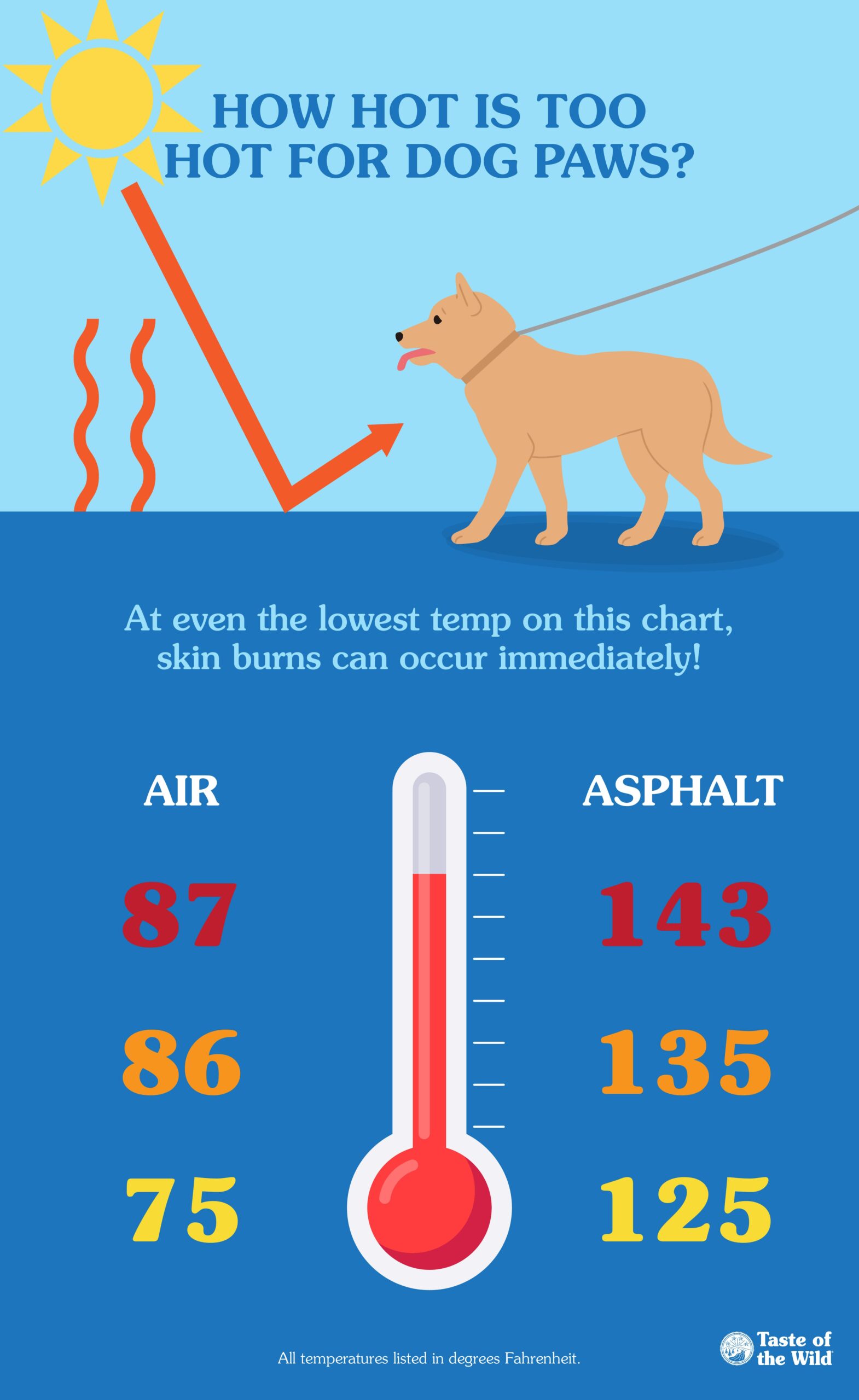 An interior graphic detailing how hot is too hot for dog paws, showing the effect of air temperature on asphalt temperatures.