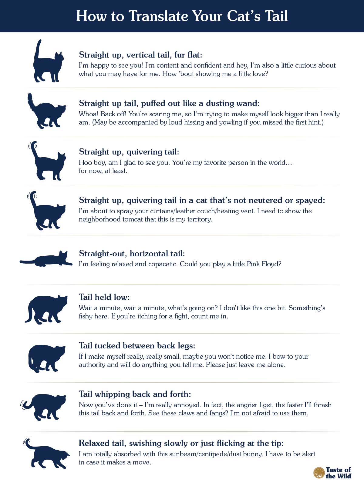 An interior graphic detailing how to translate your cat's tail with nine different tail positions and what these positions may indicate.