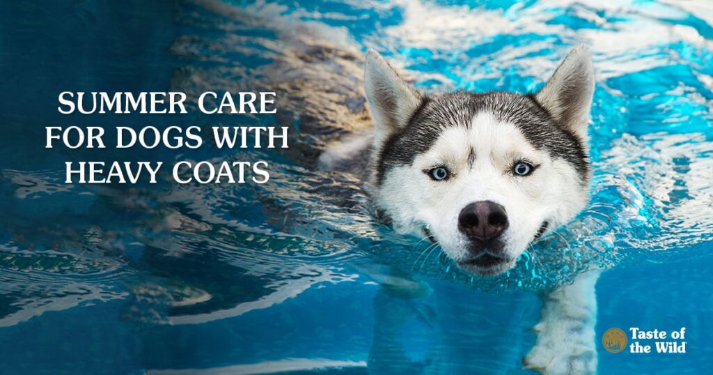 Caring for heavy coats in summer